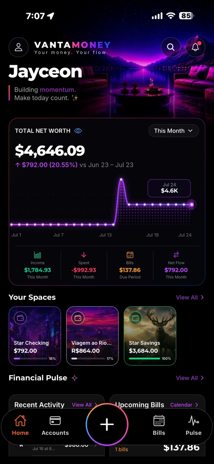 VantaMoney dashboard in dark mode — $4,646.09 total net worth with the July chart, Your Spaces, and Financial Pulse